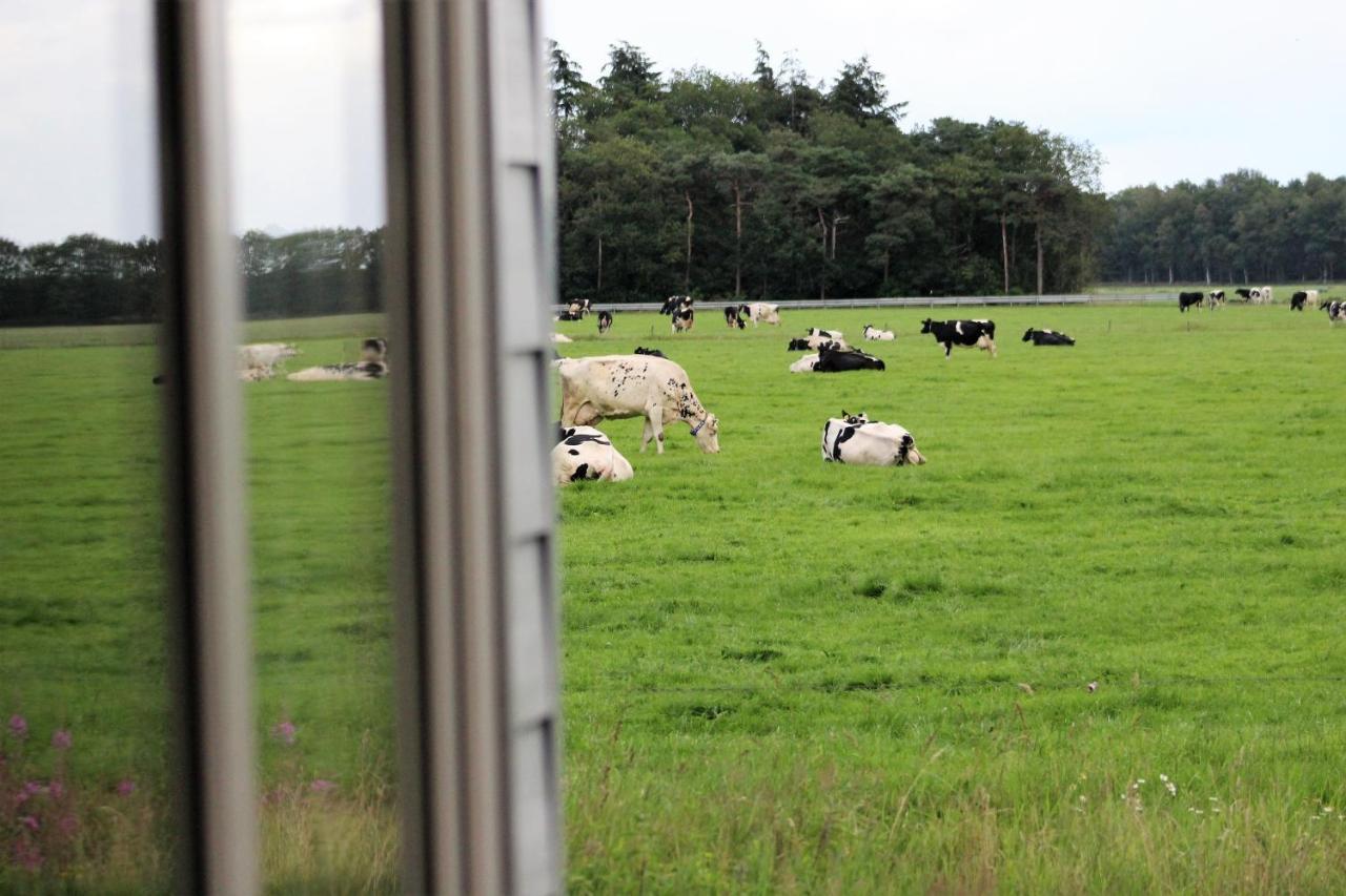 Panorama Box Op Camping De Stal Drijber Exterior photo